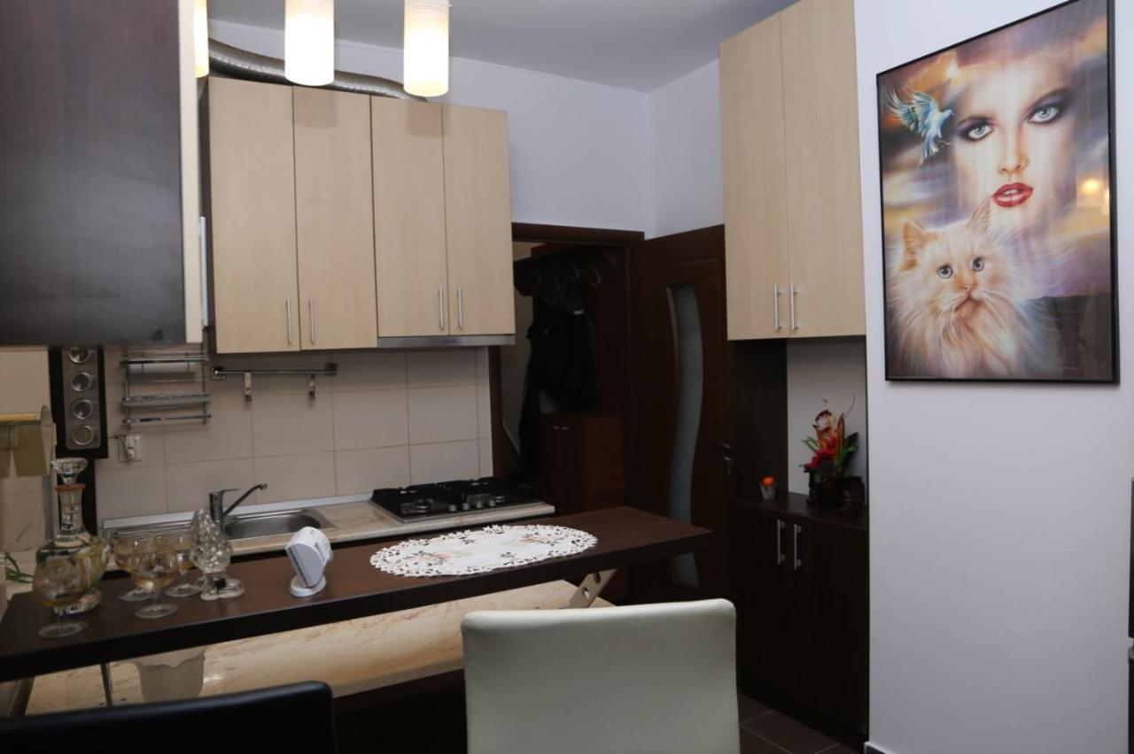 Balcescu Alina'S Apartament Сибиу Екстериор снимка